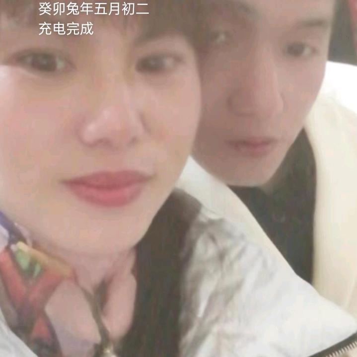 段总