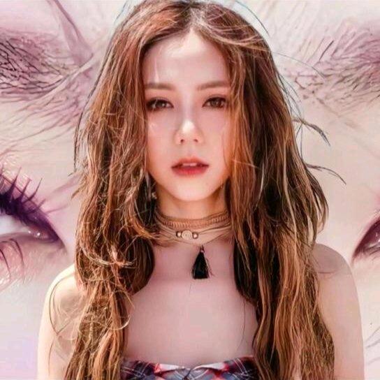 ✨枫