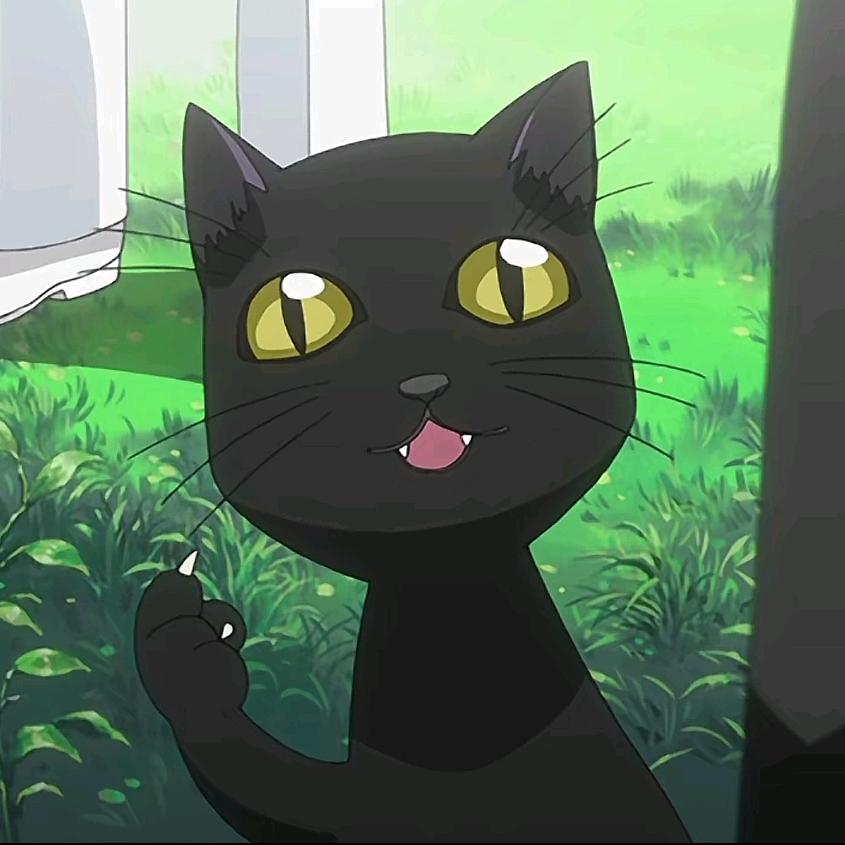 万事屋猫咖の吐槽日记