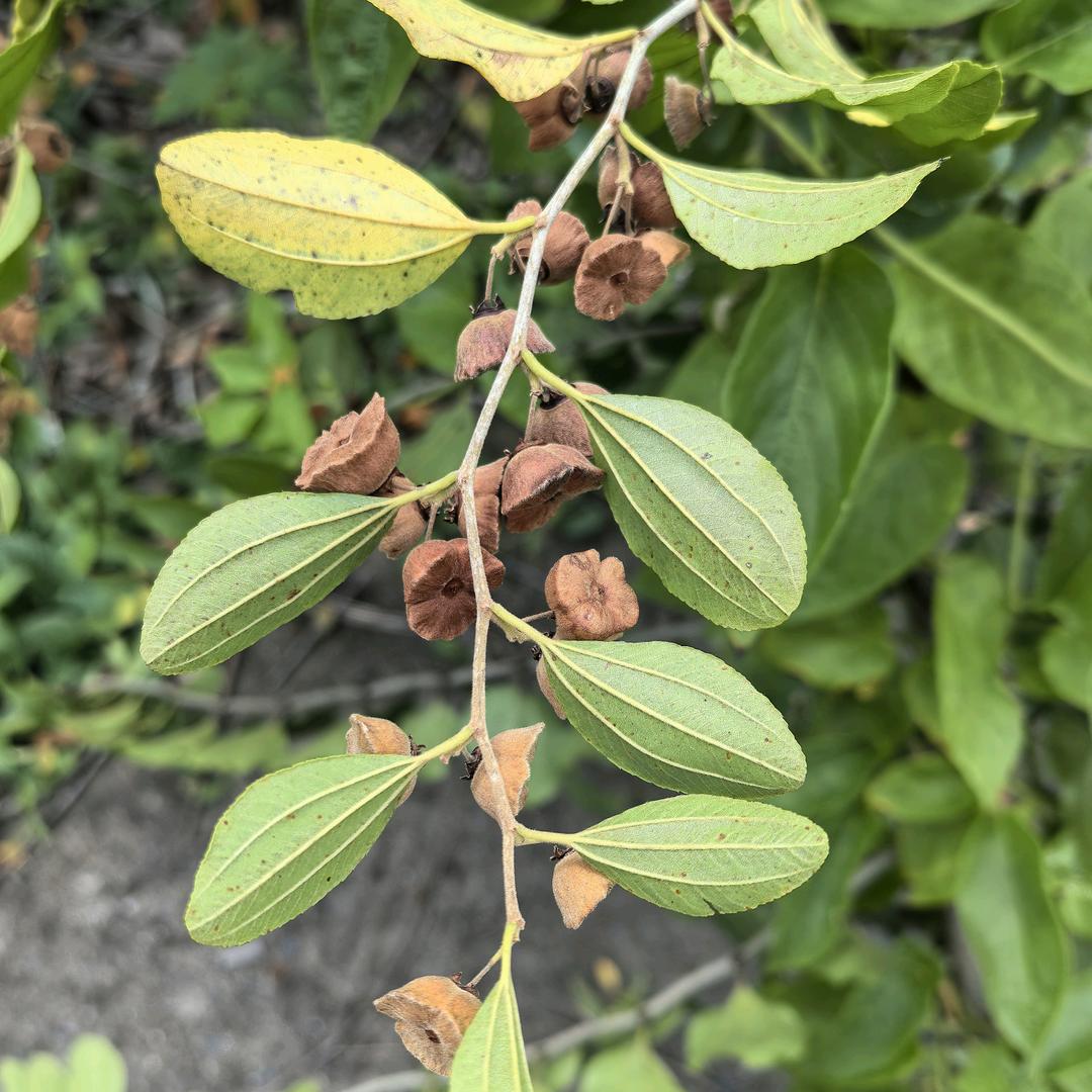 没有名字不能上网