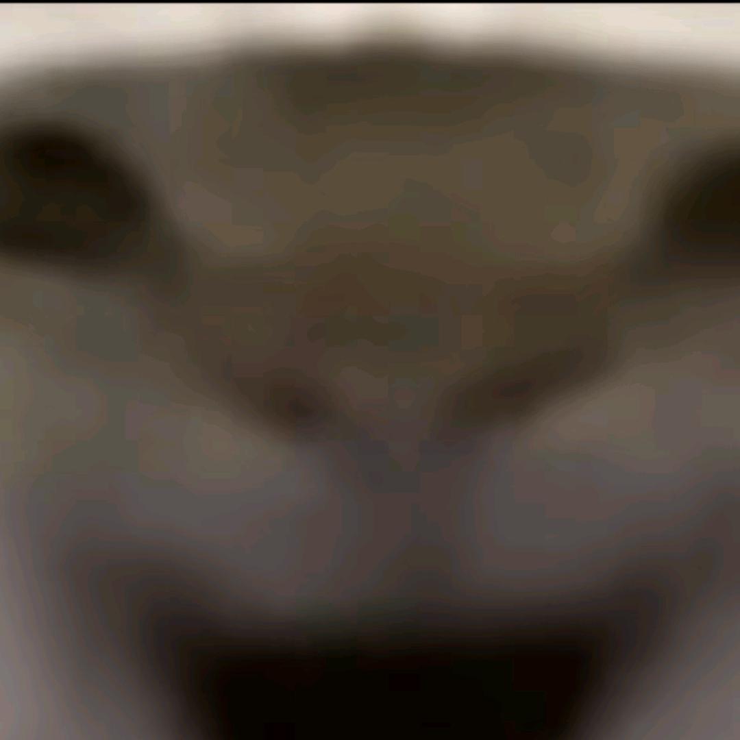 鼠鼠