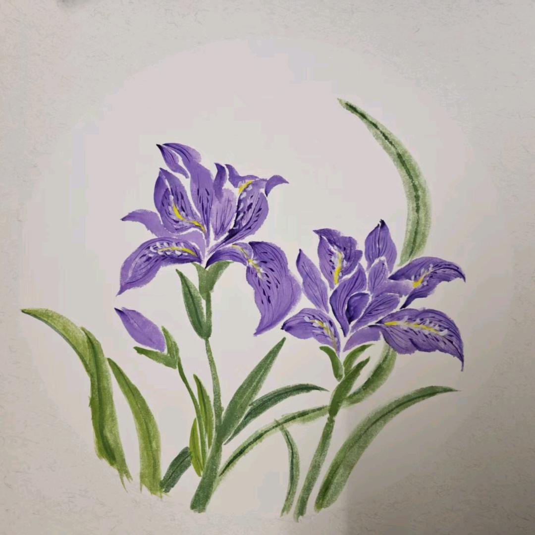 玉玊玉玊