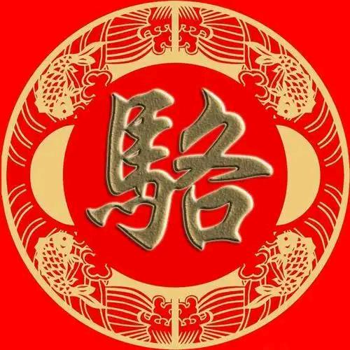 开心哥