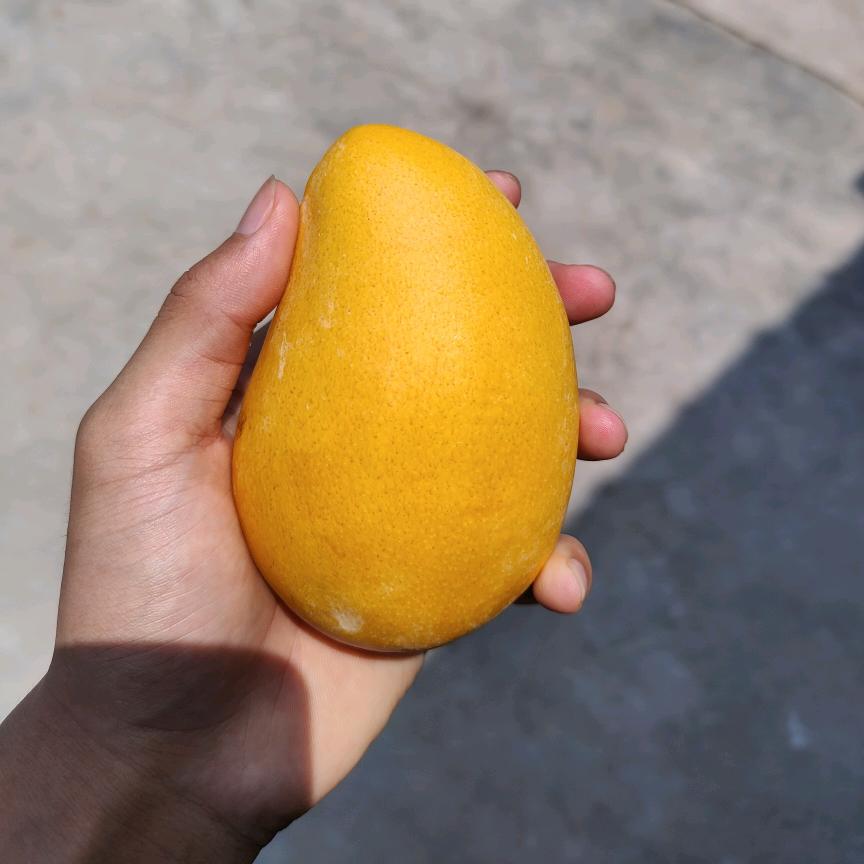 芒果 三角洲双人跑刀