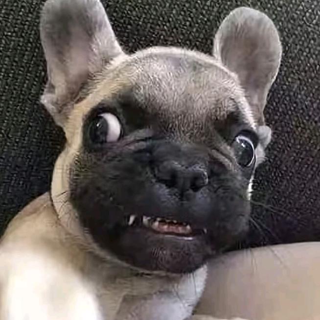 纽约.