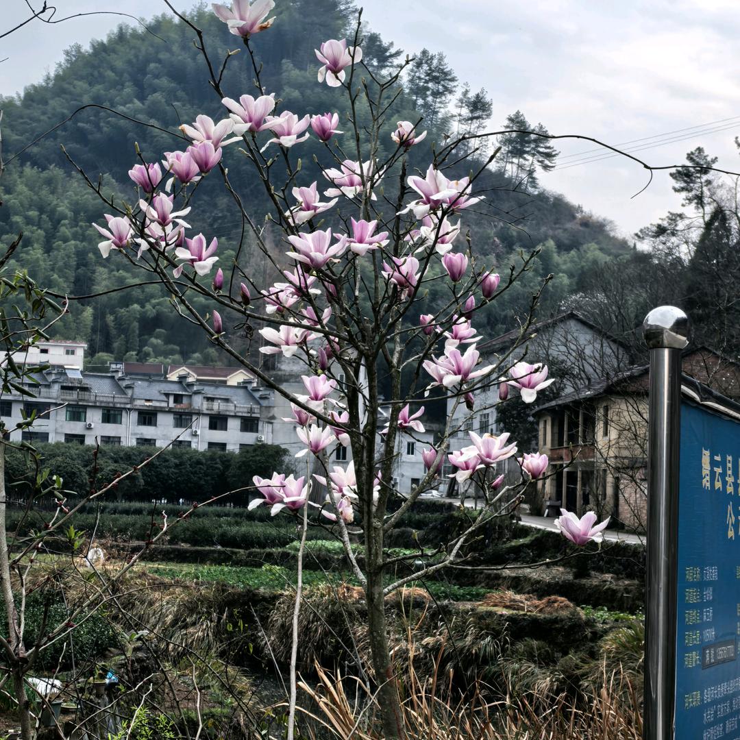 人间清醒1
