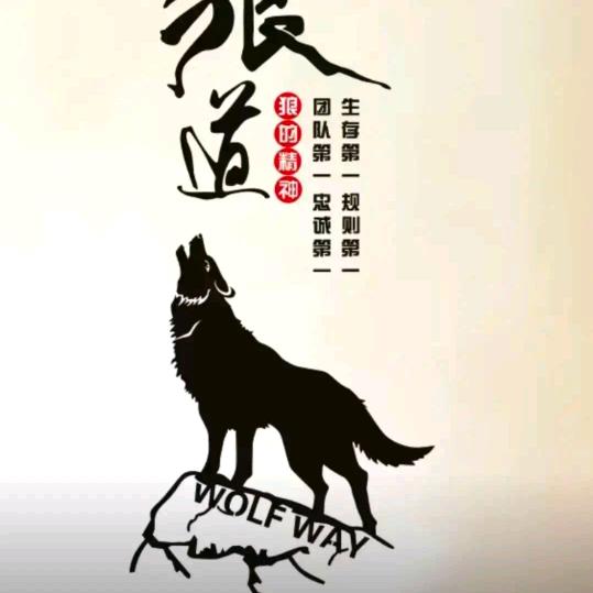 涞源县专业安装金刚网纱窗，防盗门改通风窗