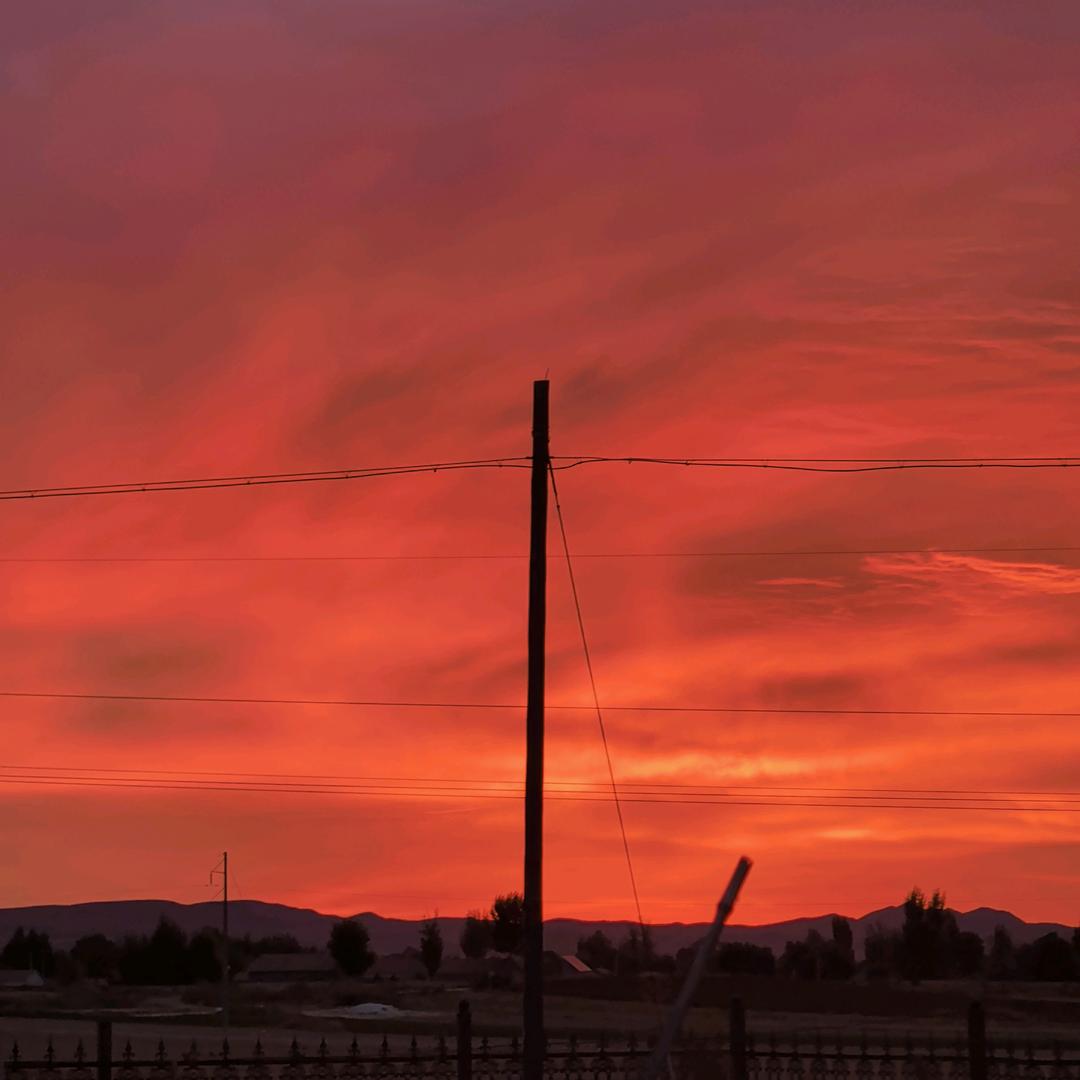 药事通中药材种植