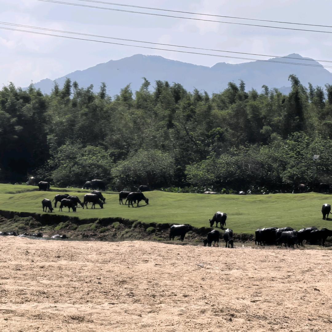 做家政保洁的80后