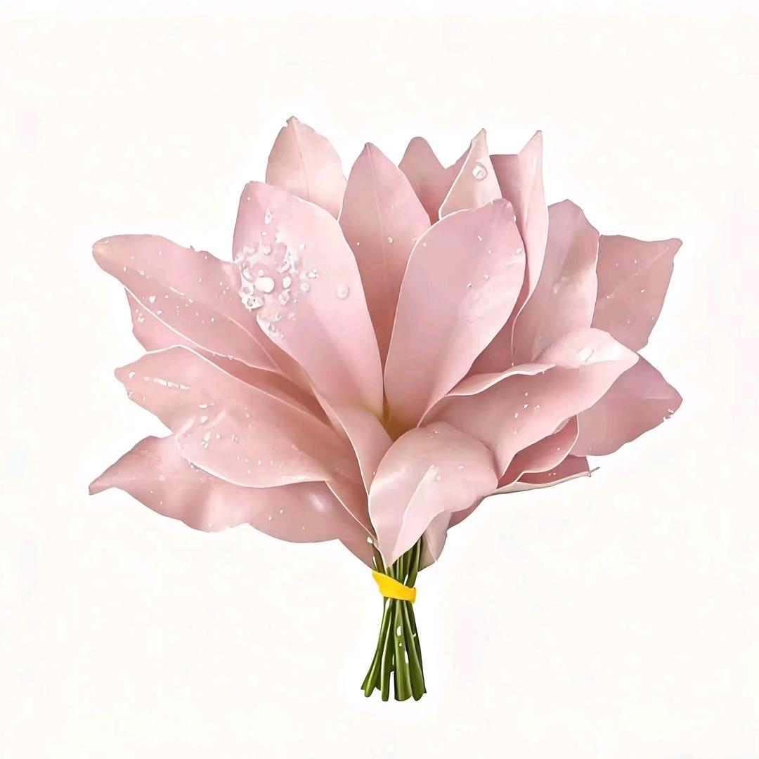 珍惜才配拥有.『💤』