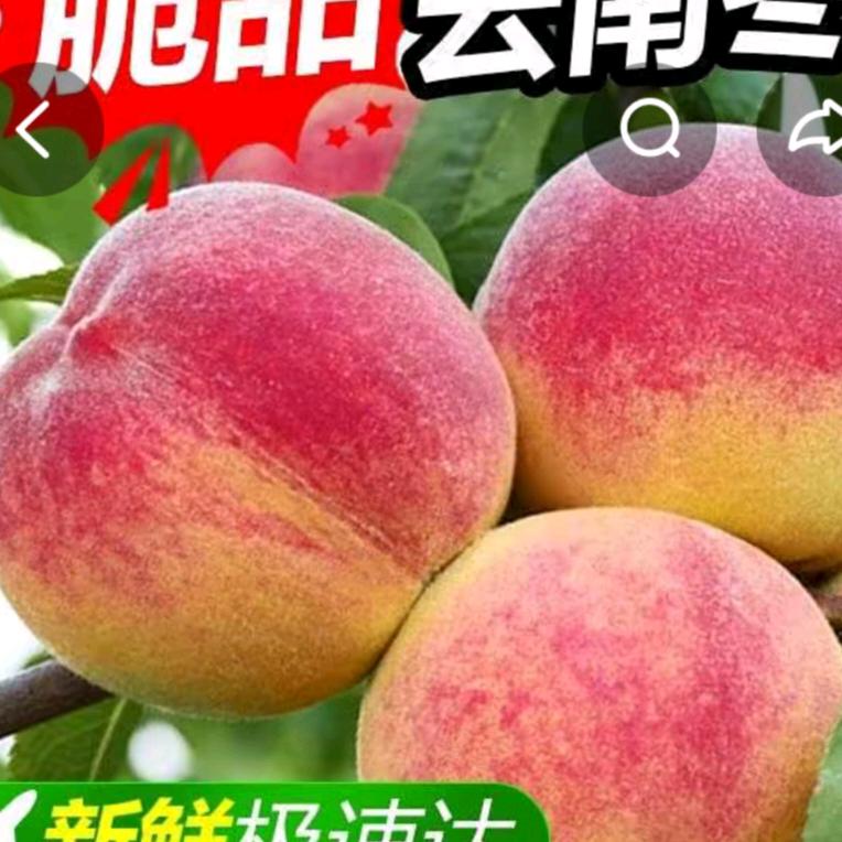 东安好物