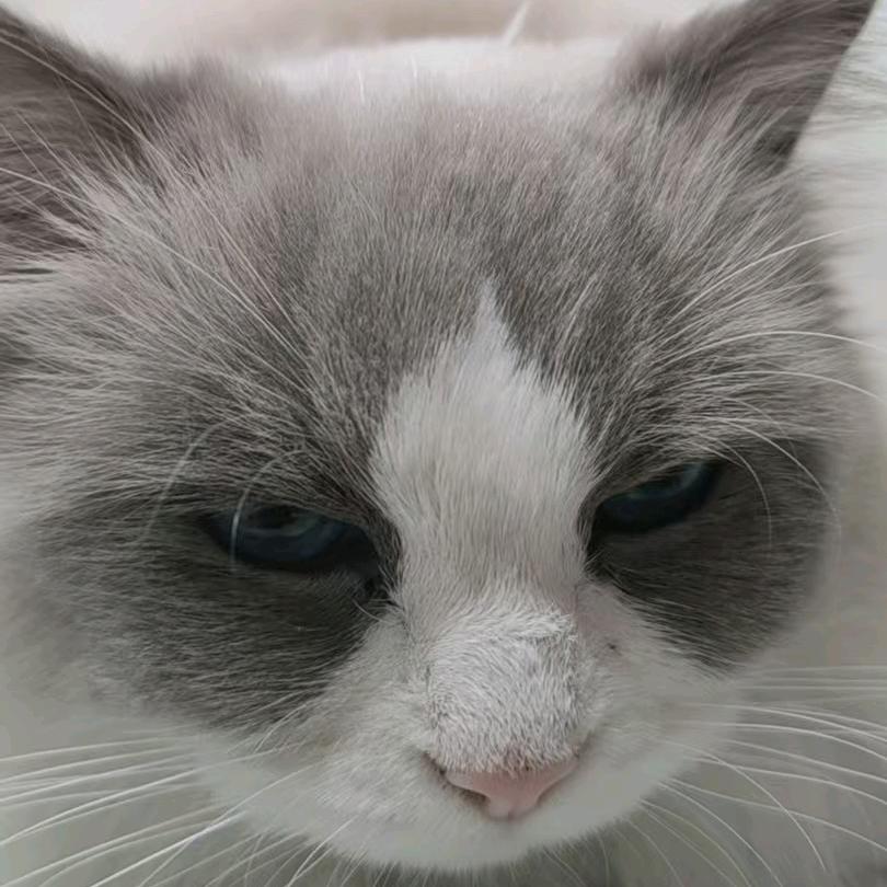 ঠᩚ᭄让心💕归零᭨ᮩ໊࿐