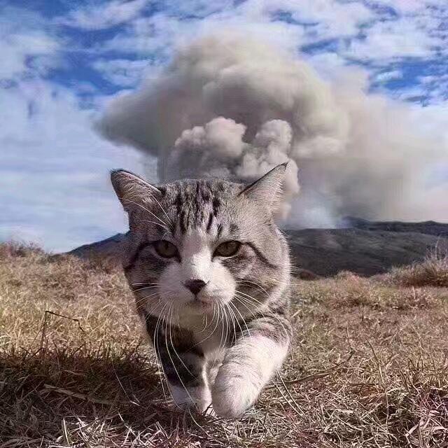 6633