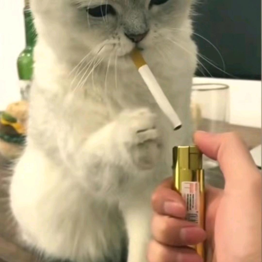 等凨