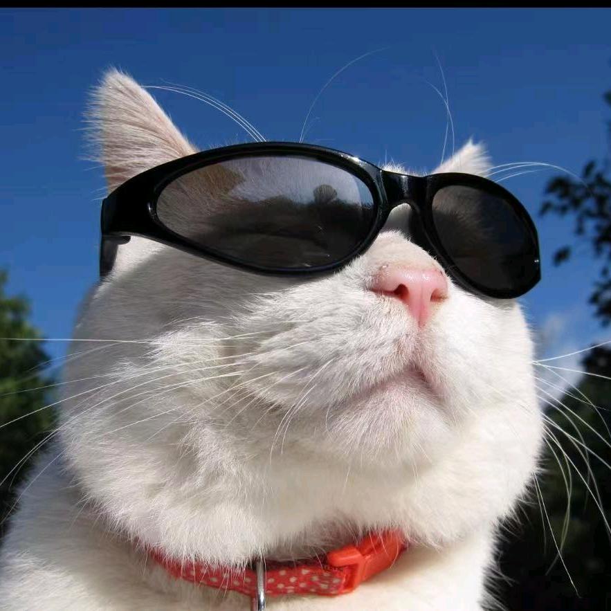 Heatondong
