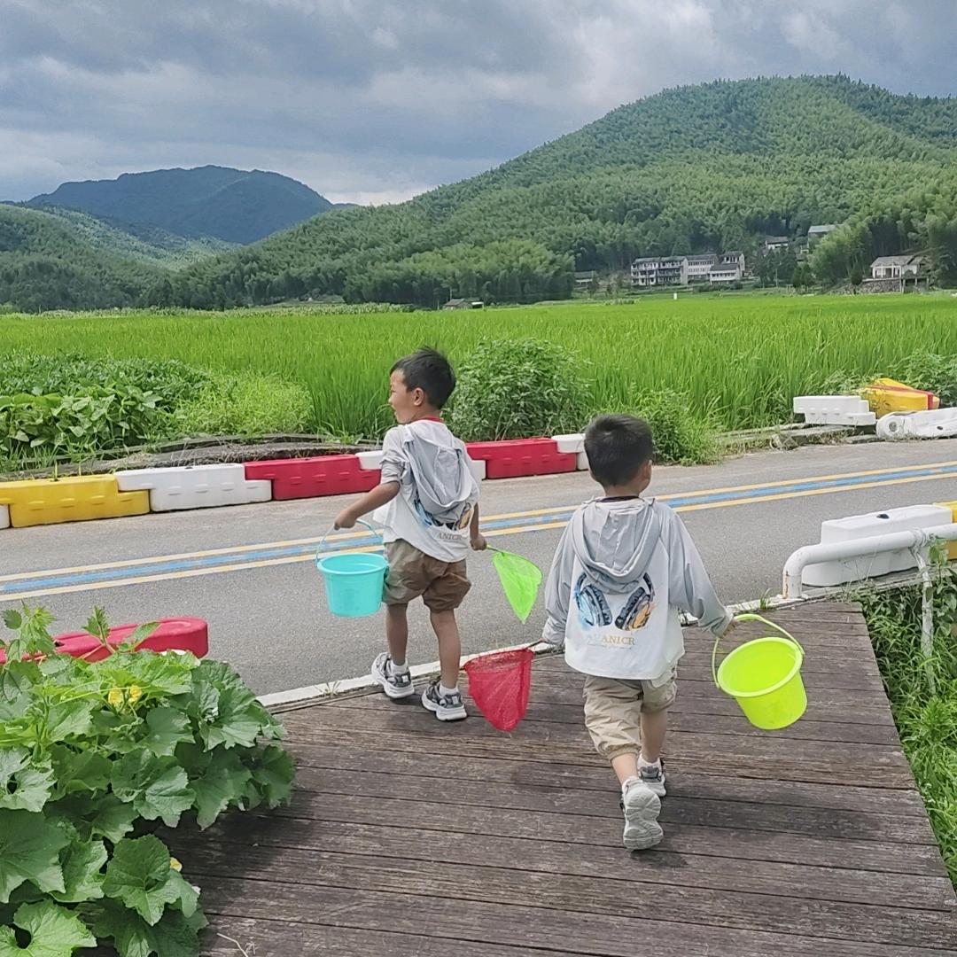 张渣渣