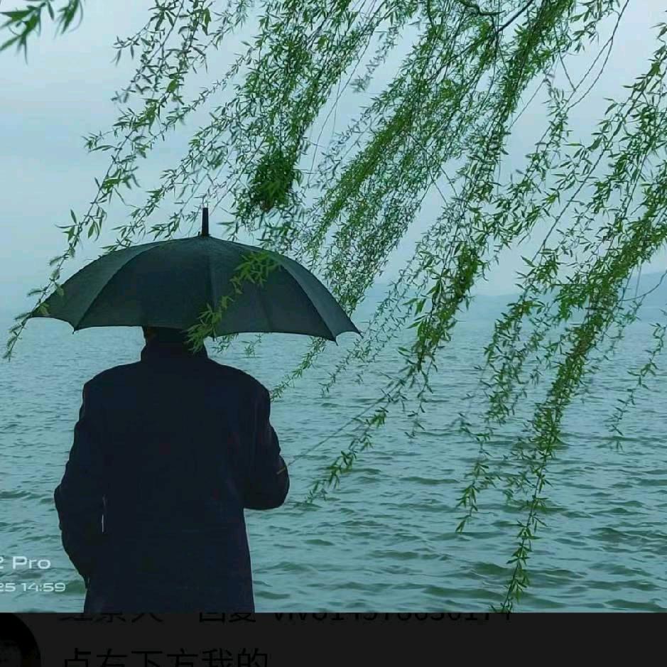 江湖风雨情
