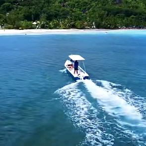 漂洋过海来看你