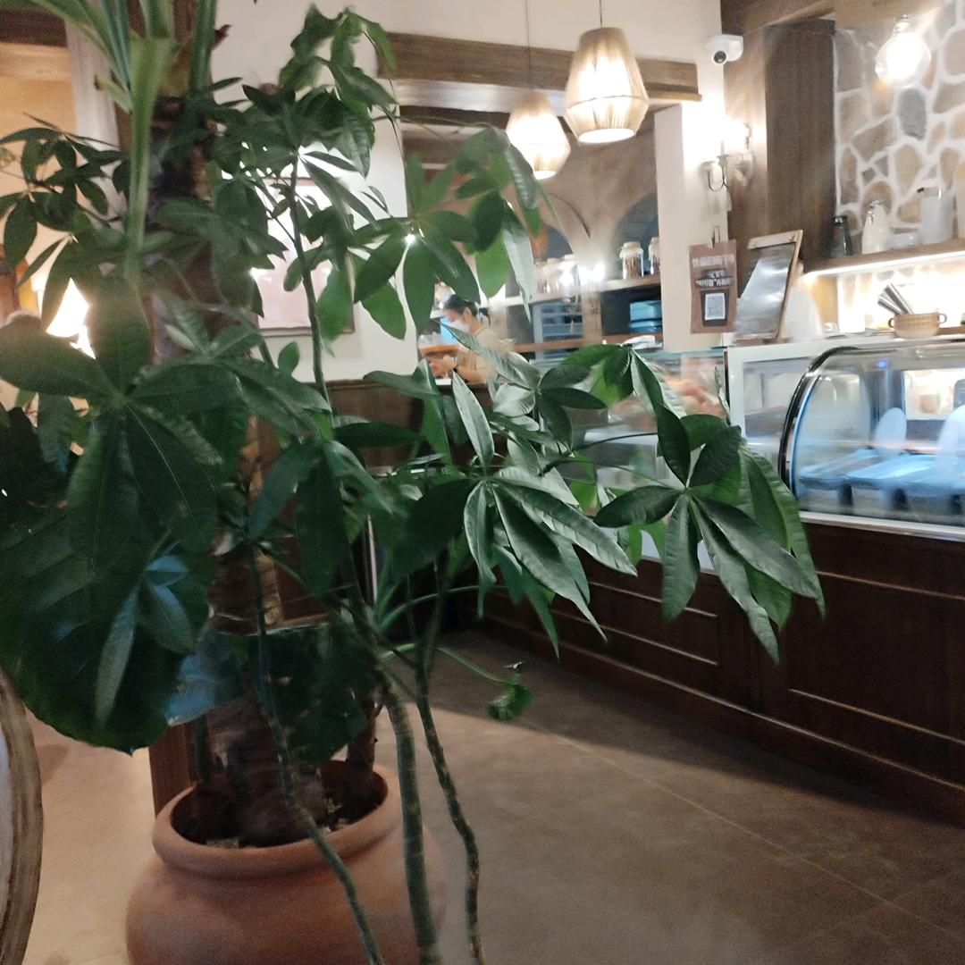 舞动中国🇨🇳