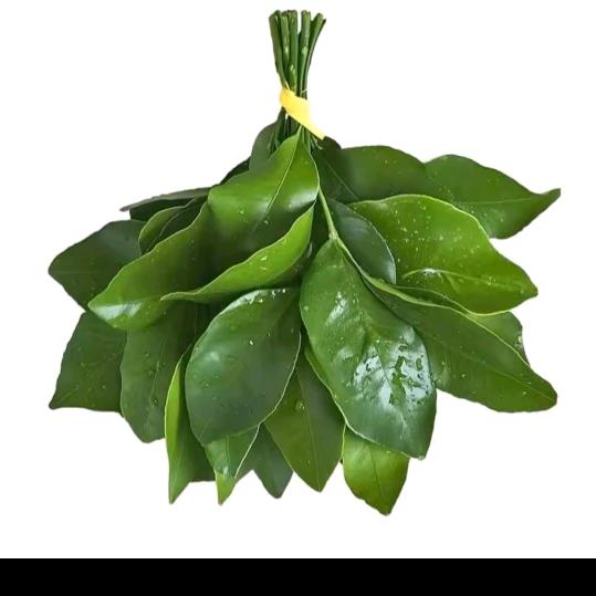 街溜子之喜欢隔壁大嫂