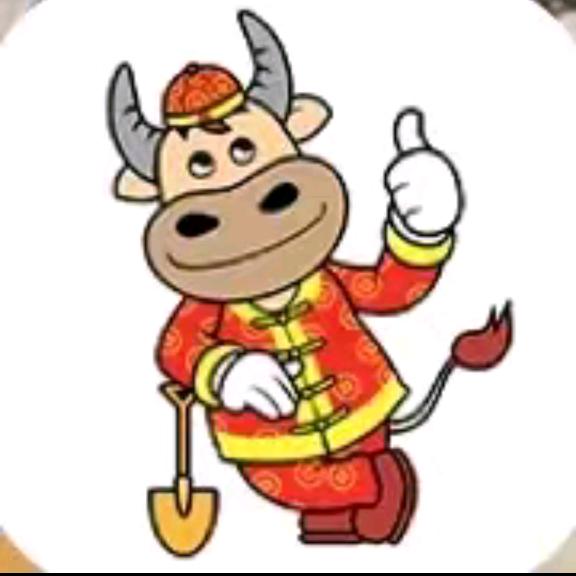拉萨T王