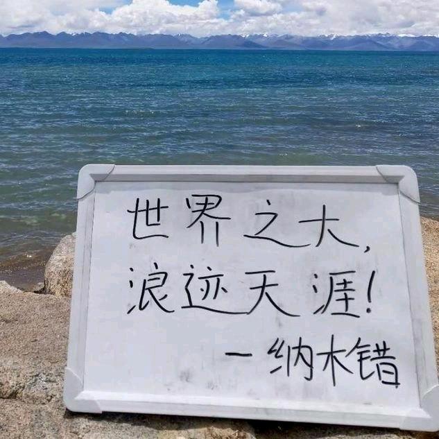 向钱看往厚赚🌲