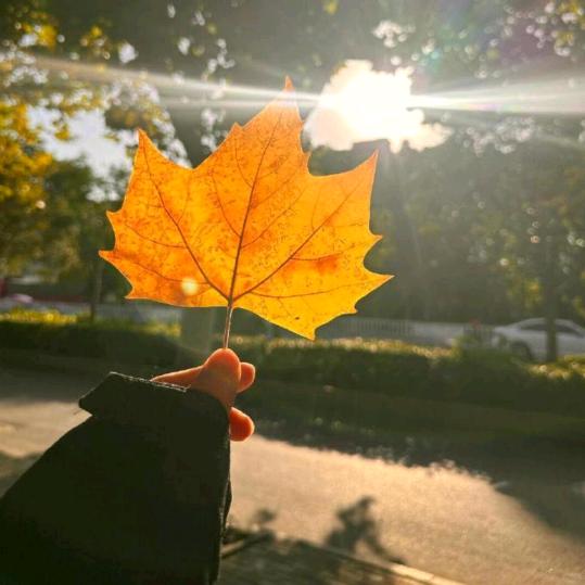 ঞ  歸零 💞᭄