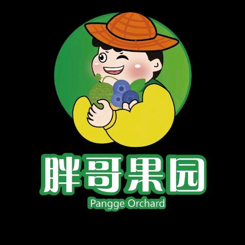 00年水果主理人