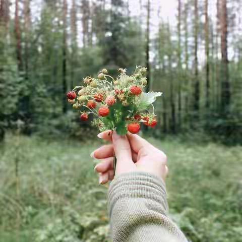 韭菜锅锅