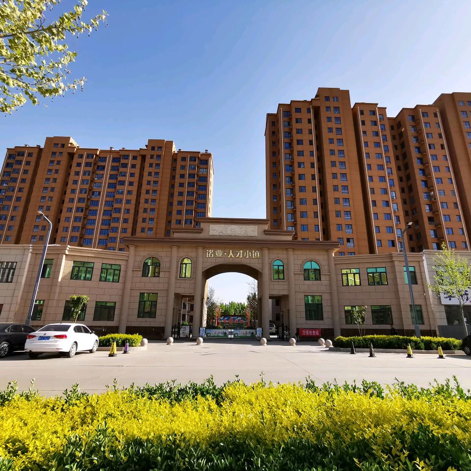 人才小镇 王王王