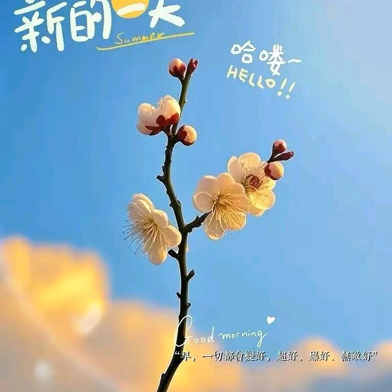 晴空万里
