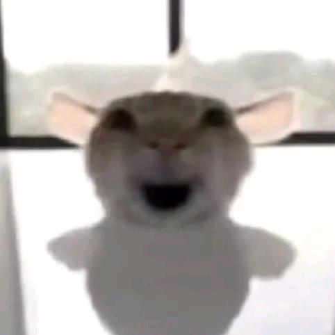 C. c