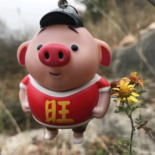大海，(刷拉了，别喊了，封票了)😭
