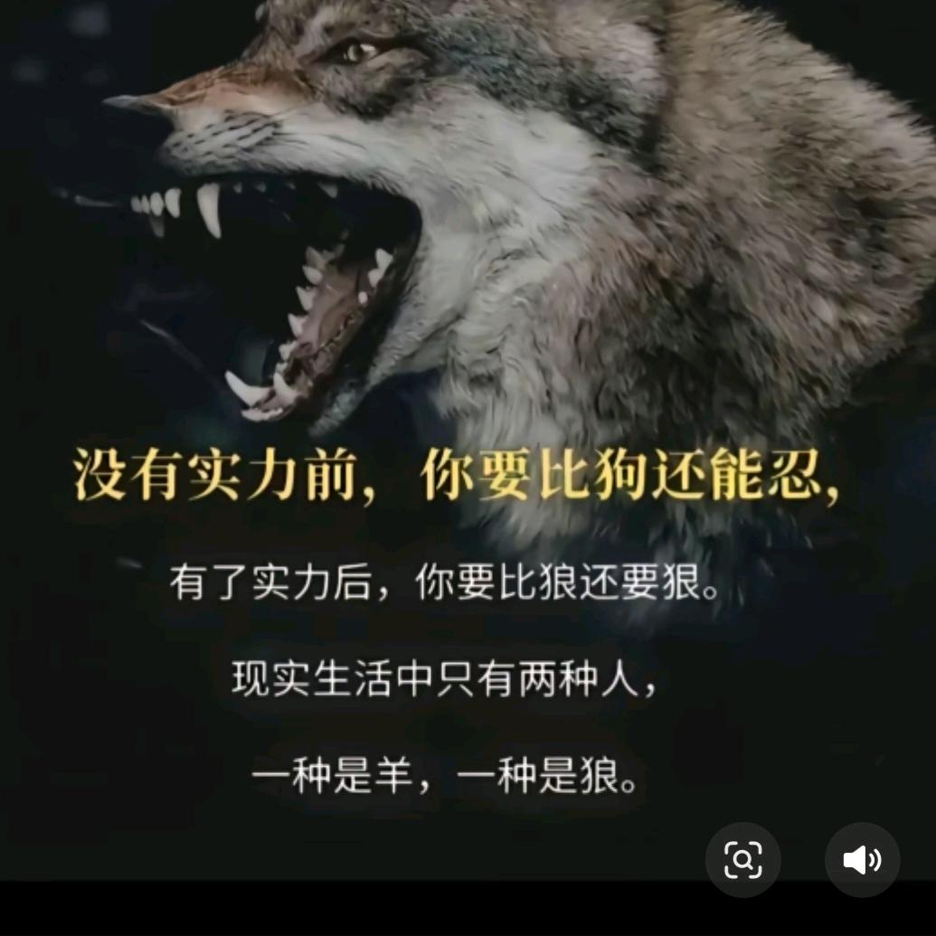 顶级自律