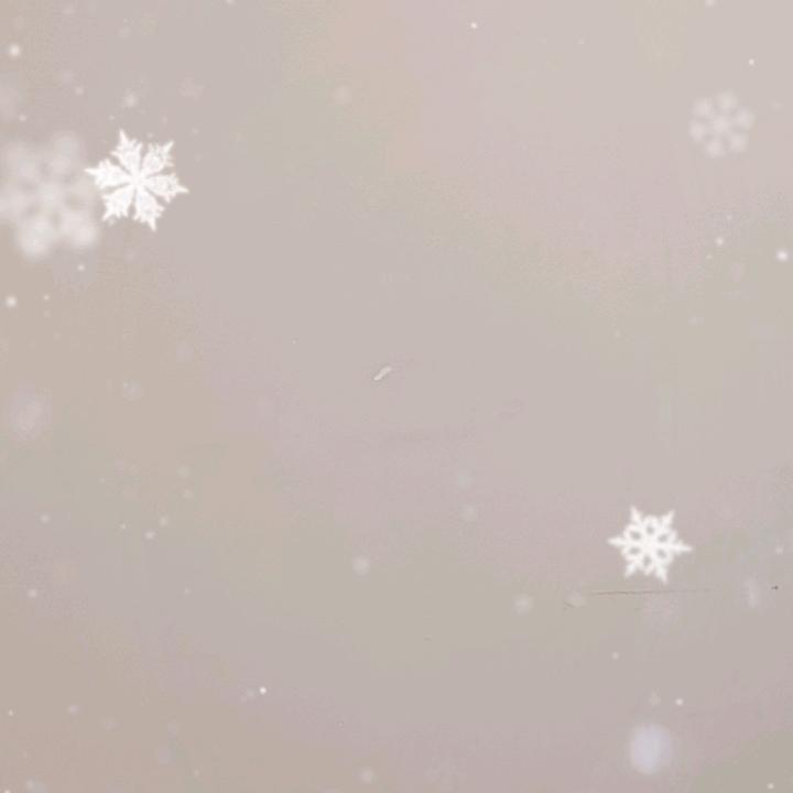全屋定制