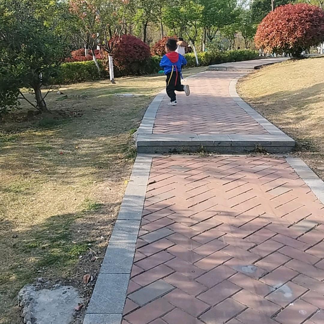 让一切随风