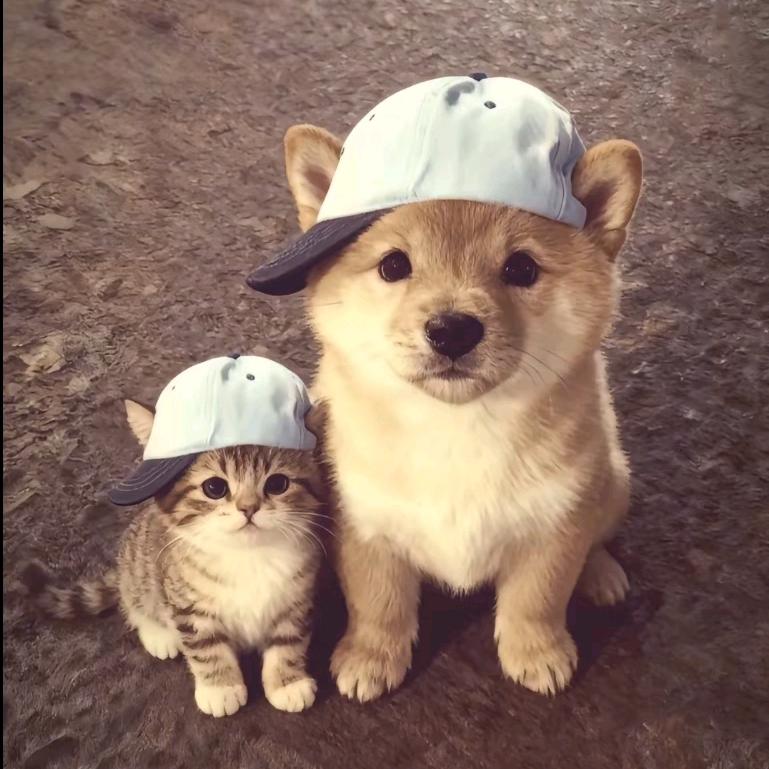 CuoGu
