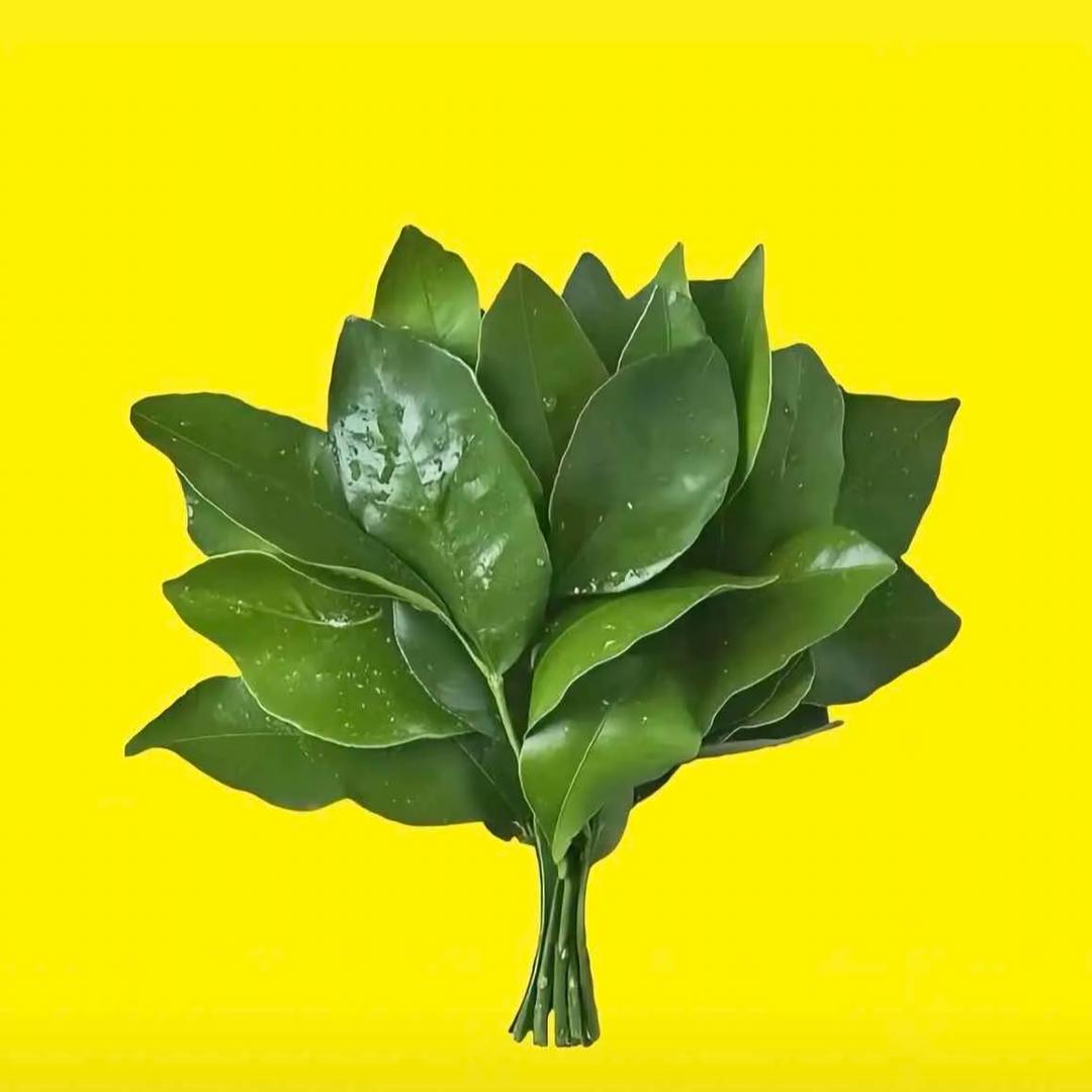 九江空间大舞台