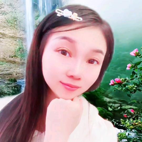 🌺芙蓉🌺