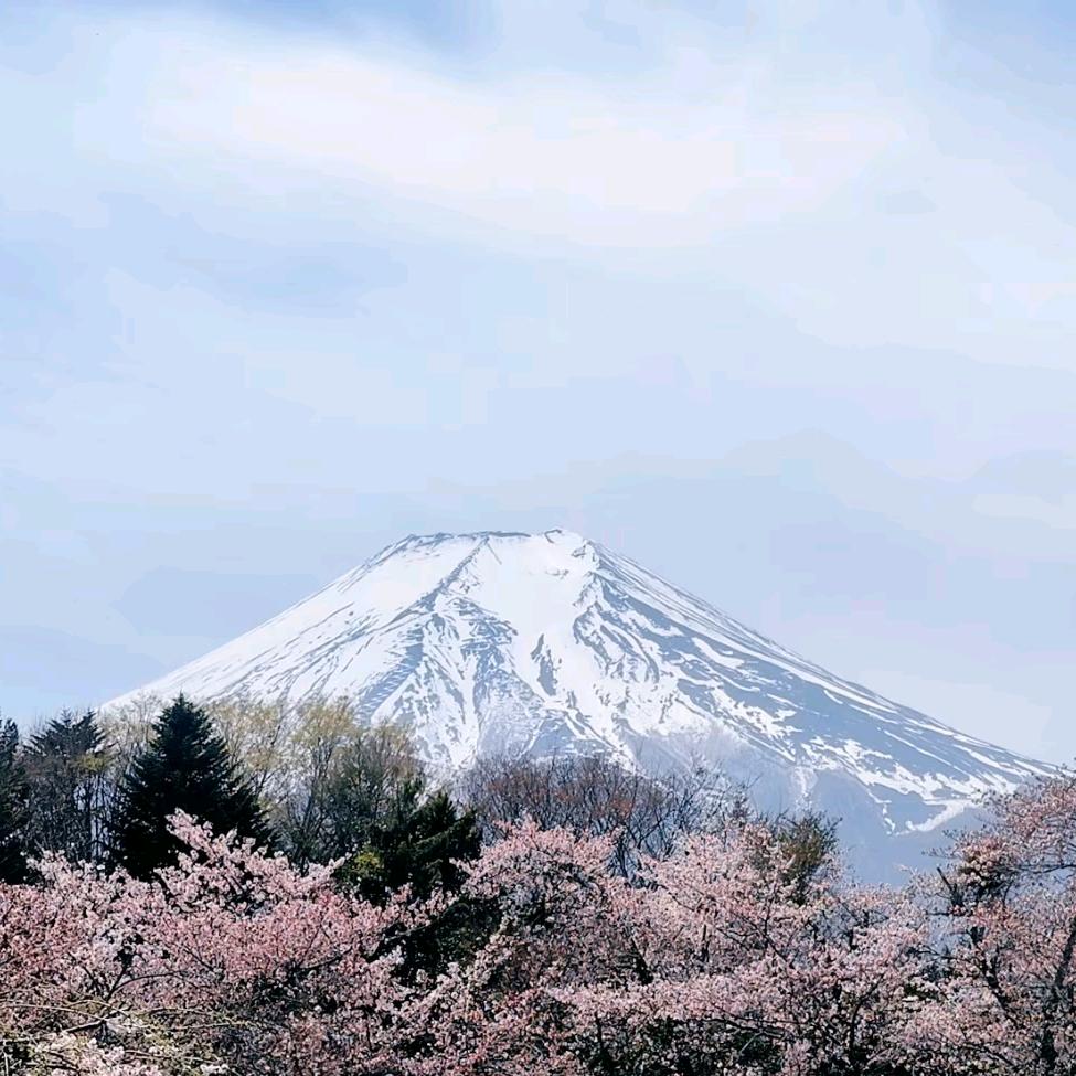 做一个默默无闻