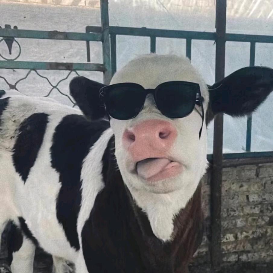 丸子🧆