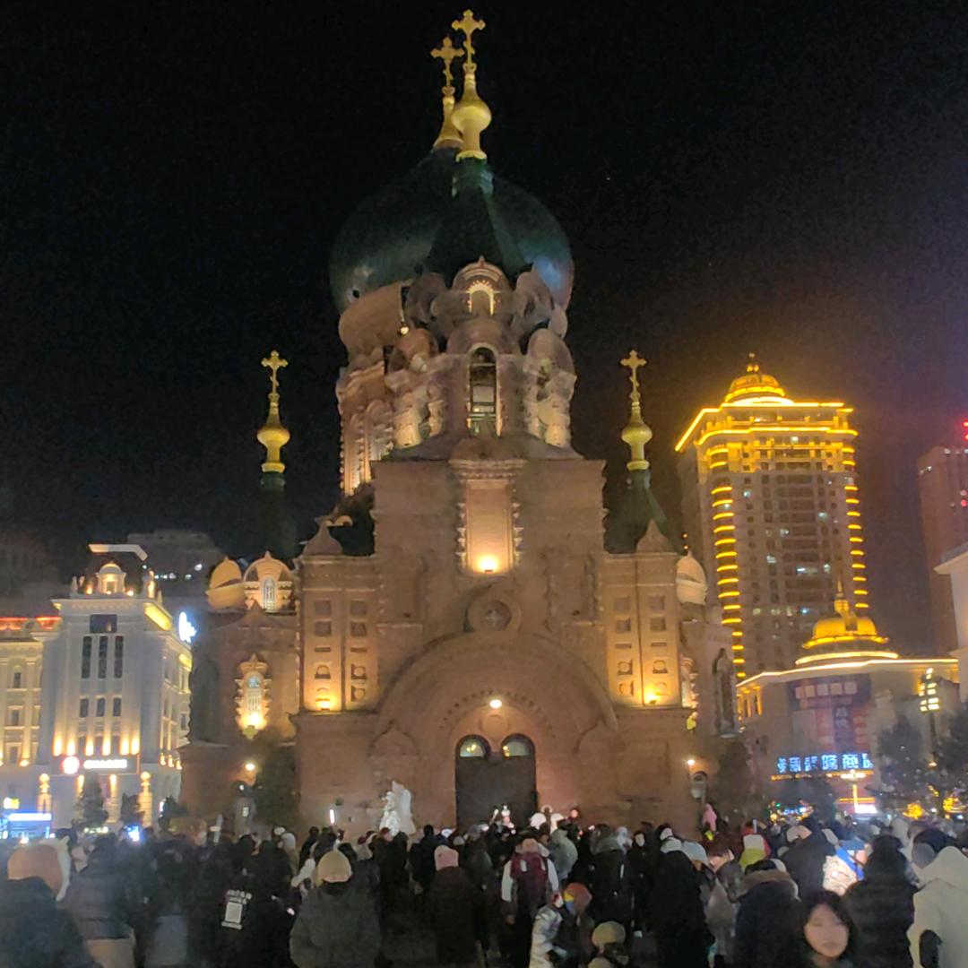 洲转暗鼠