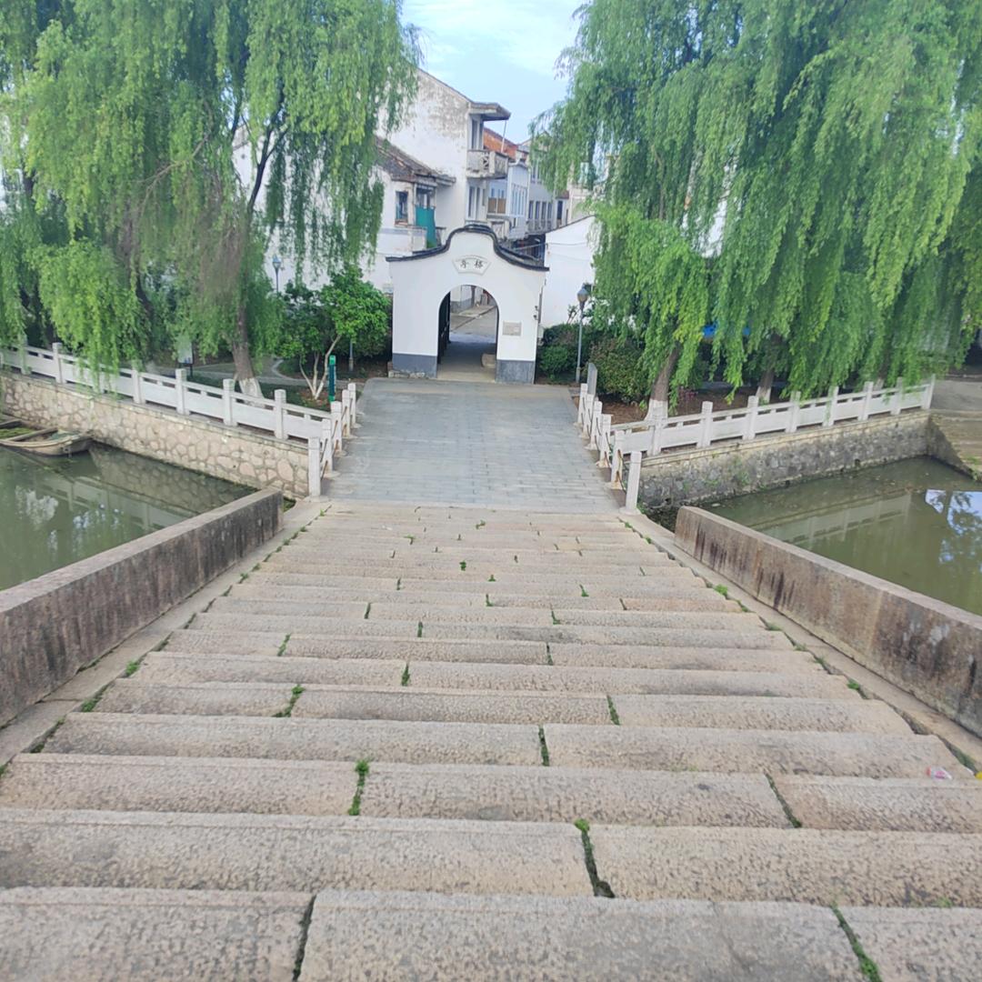 没票