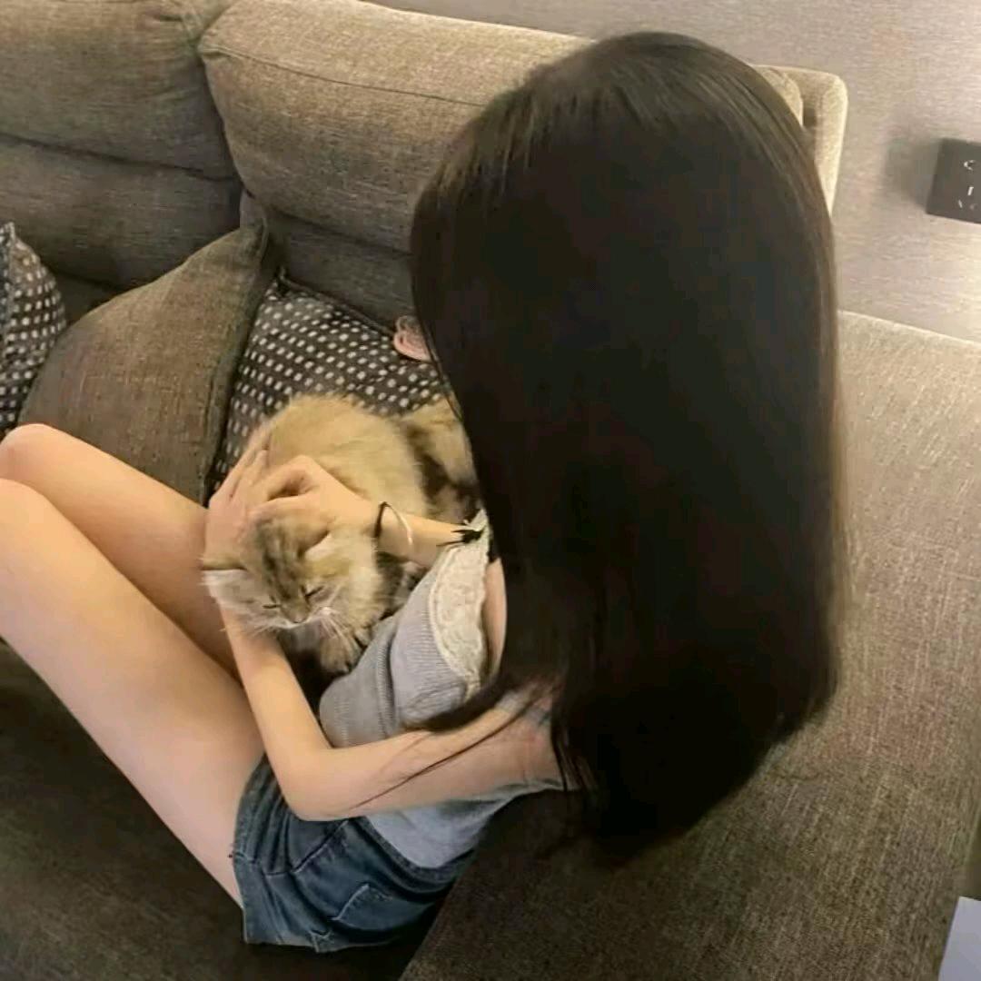 沙丁鱼