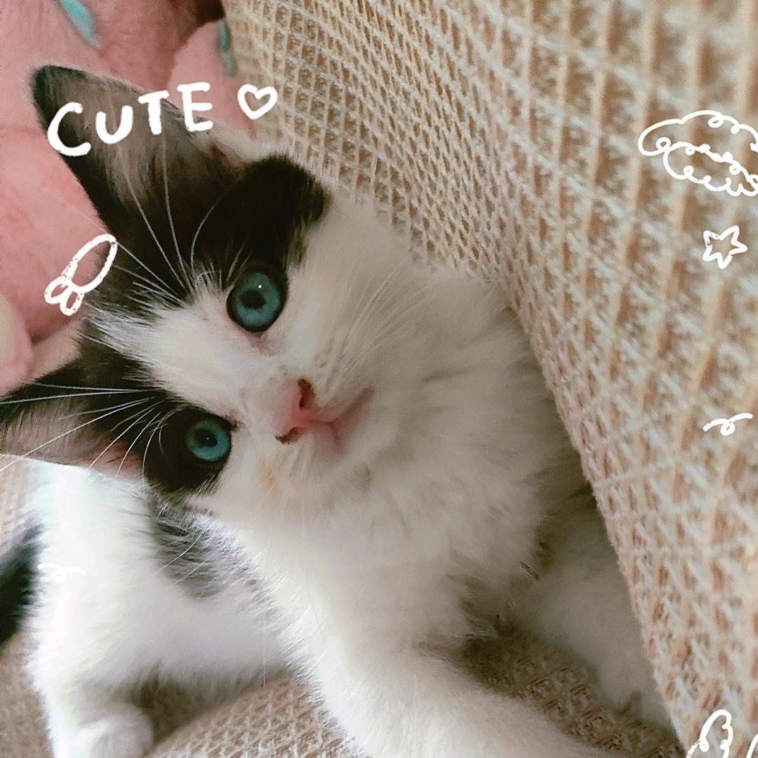 点点的成长日记