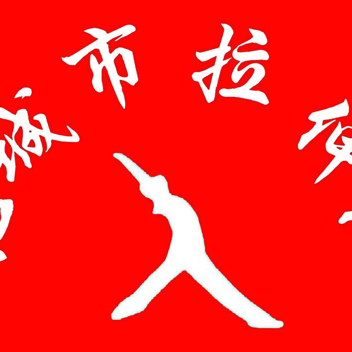 肥城市拉伸队