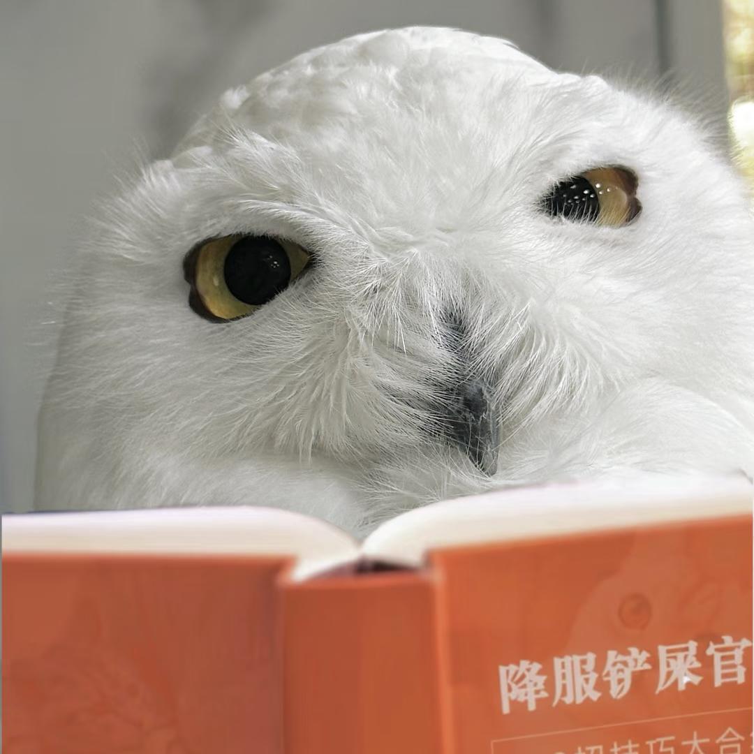 鸮鸮