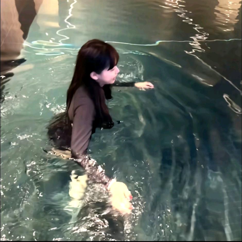 笨小孩(づ ●─● )づ