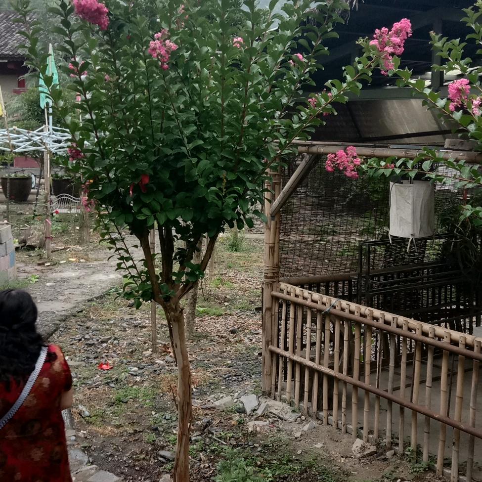 谢全荣