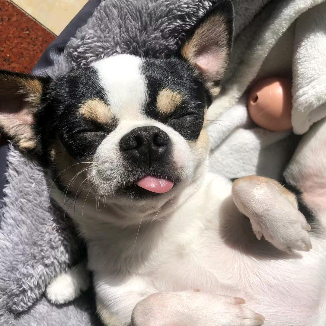 明朗.